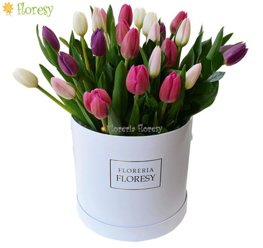 Box cilindrico con 20 tulipanes